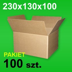 Karton 230x130x100 P-100 szt.