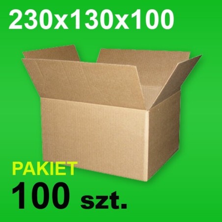 Karton 230x130x100 P-100 szt.