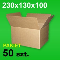 Karton 230x130x100 P-50 szt.