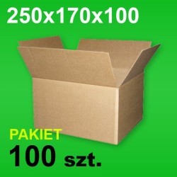 Karton 250x170x100 P-100 szt.