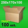 Karton 250x170x100 P-100 szt.