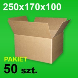 Karton 250x170x100 P-50 szt.