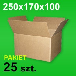 Karton 250x170x100 P-25 szt.