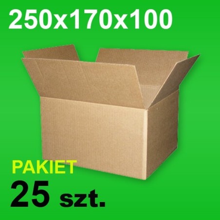 Karton 250x170x100 P-25 szt.