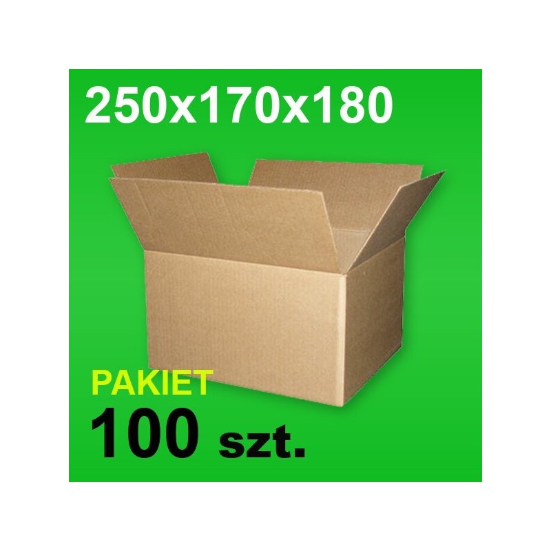 Karton 250x170x180 P-100 szt.