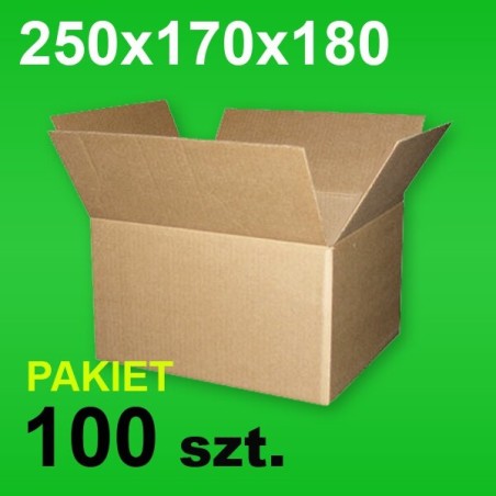 Karton 250x170x180 P-100 szt.