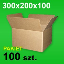Karton 300x200x100 P-100 szt.