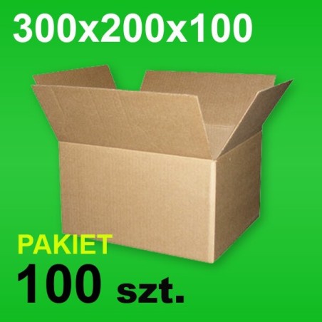 Karton 300x200x100 P-100 szt.