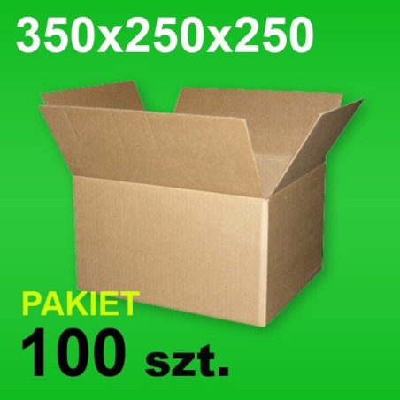 Karton 350x250x250 P-100 szt.