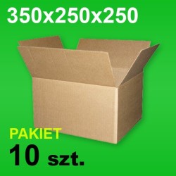 Karton 350x250x250 P-10 szt.