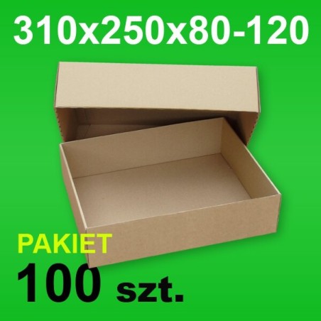 Pudełko wieczkowe 310x250x80-120 P-100 szt.