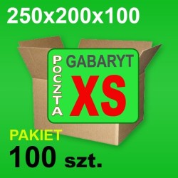 Karton 250x200x100 XS P-100 szt.