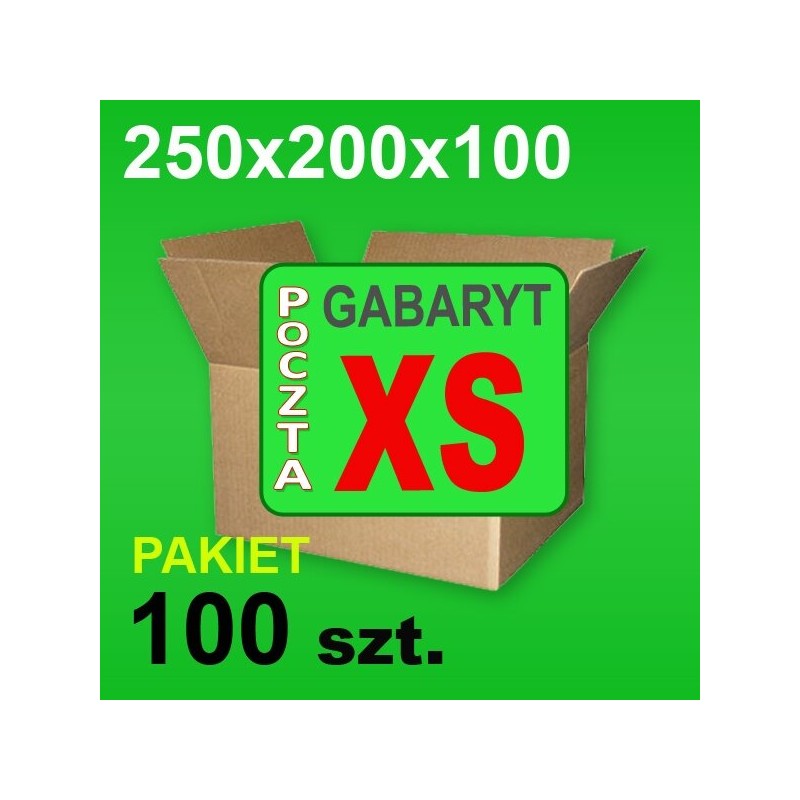 Karton 250x200x100 XS P-100 szt.