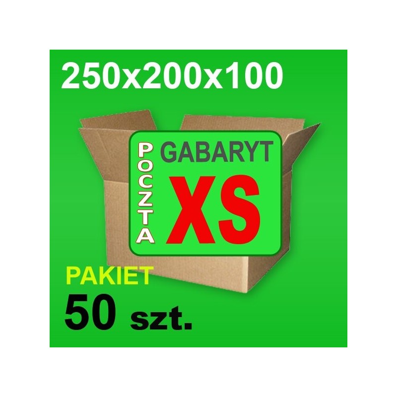 Karton 250x200x100 XS P-50 szt.