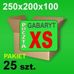 Karton 250x200x100 XS P-25 szt.