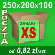 Karton 250x200x100 mm XS